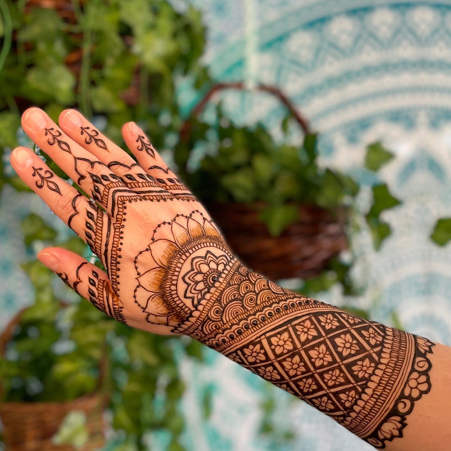 DIY Henna Kit - Large